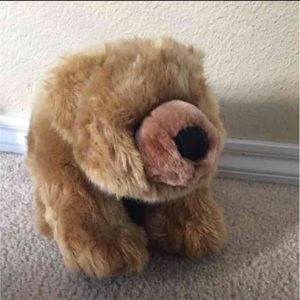 Wild Republic Brown Bear Soft Plush Stuffed Animal
